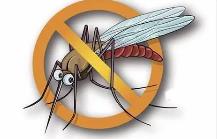 夏季，常見蚊蟲如何應對